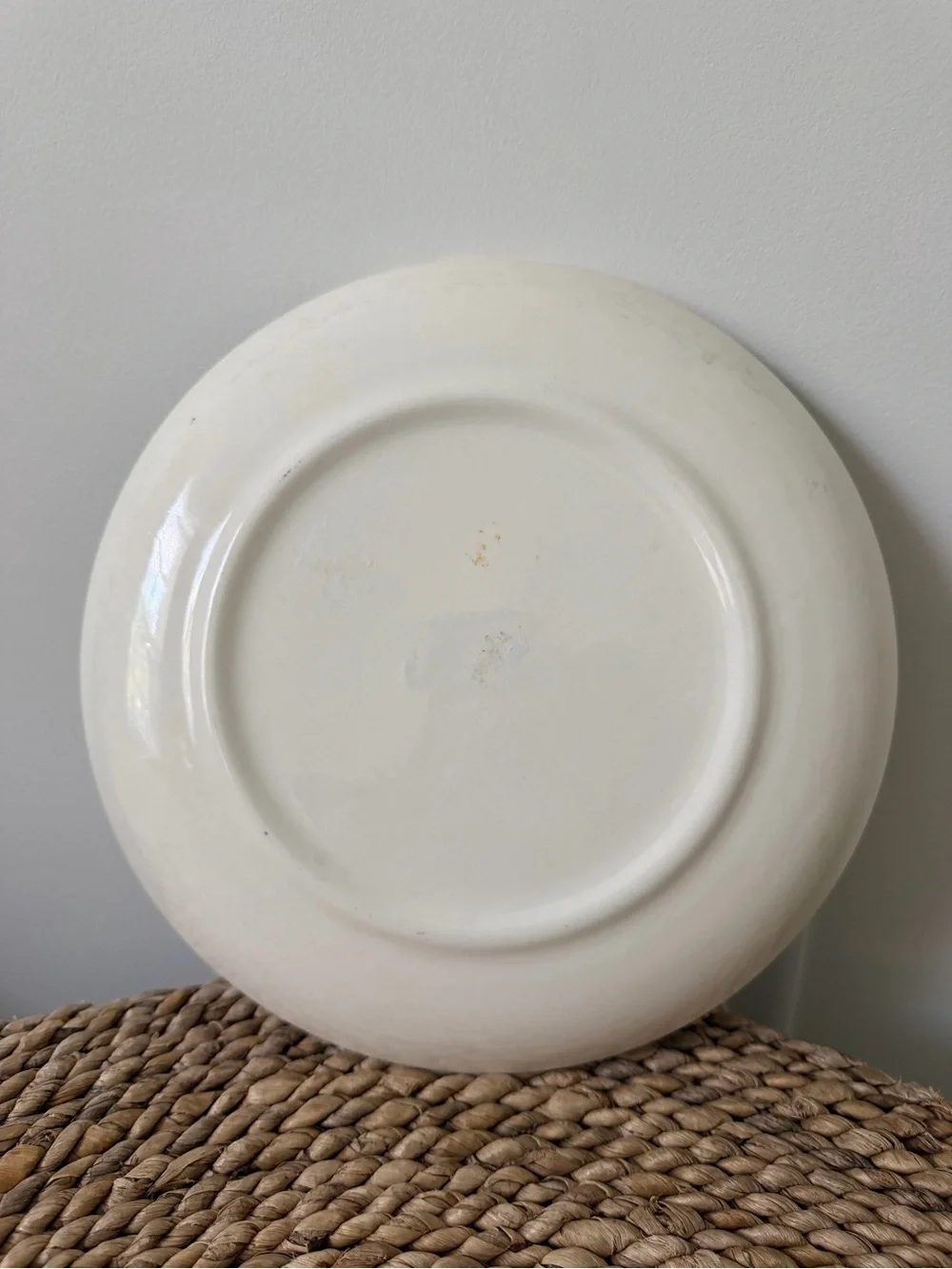 Vintage West Virginia Souvenir Decorative Plate